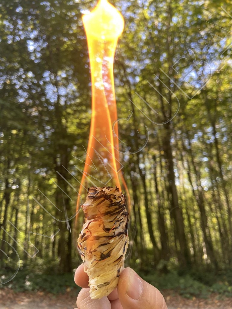Bonga Odun Yünü Ateş Tutuşturucu